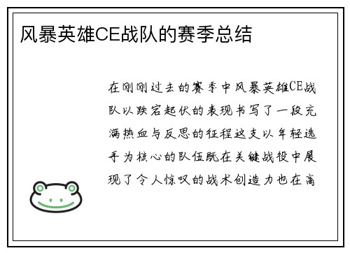 风暴英雄CE战队的赛季总结