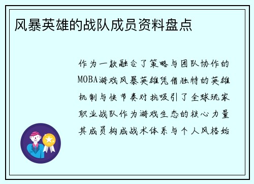 风暴英雄的战队成员资料盘点